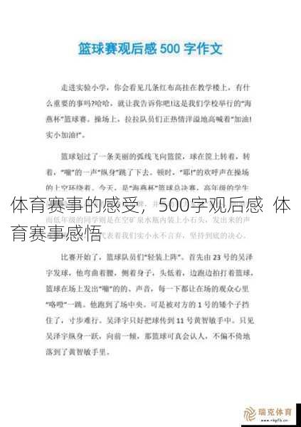 体育赛事的感受，500字观后感  体育赛事感悟