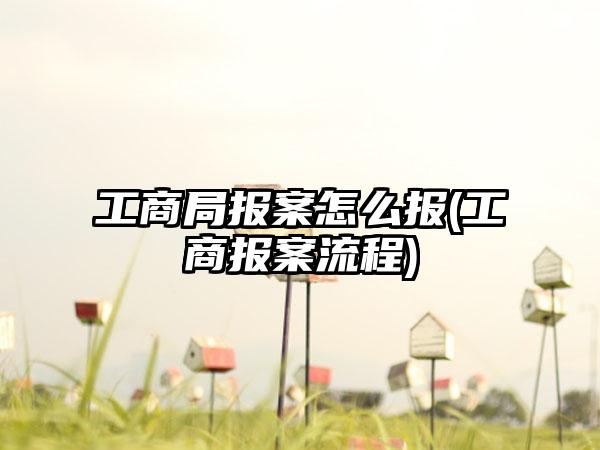 工商局报案怎么报(工商报案流程)