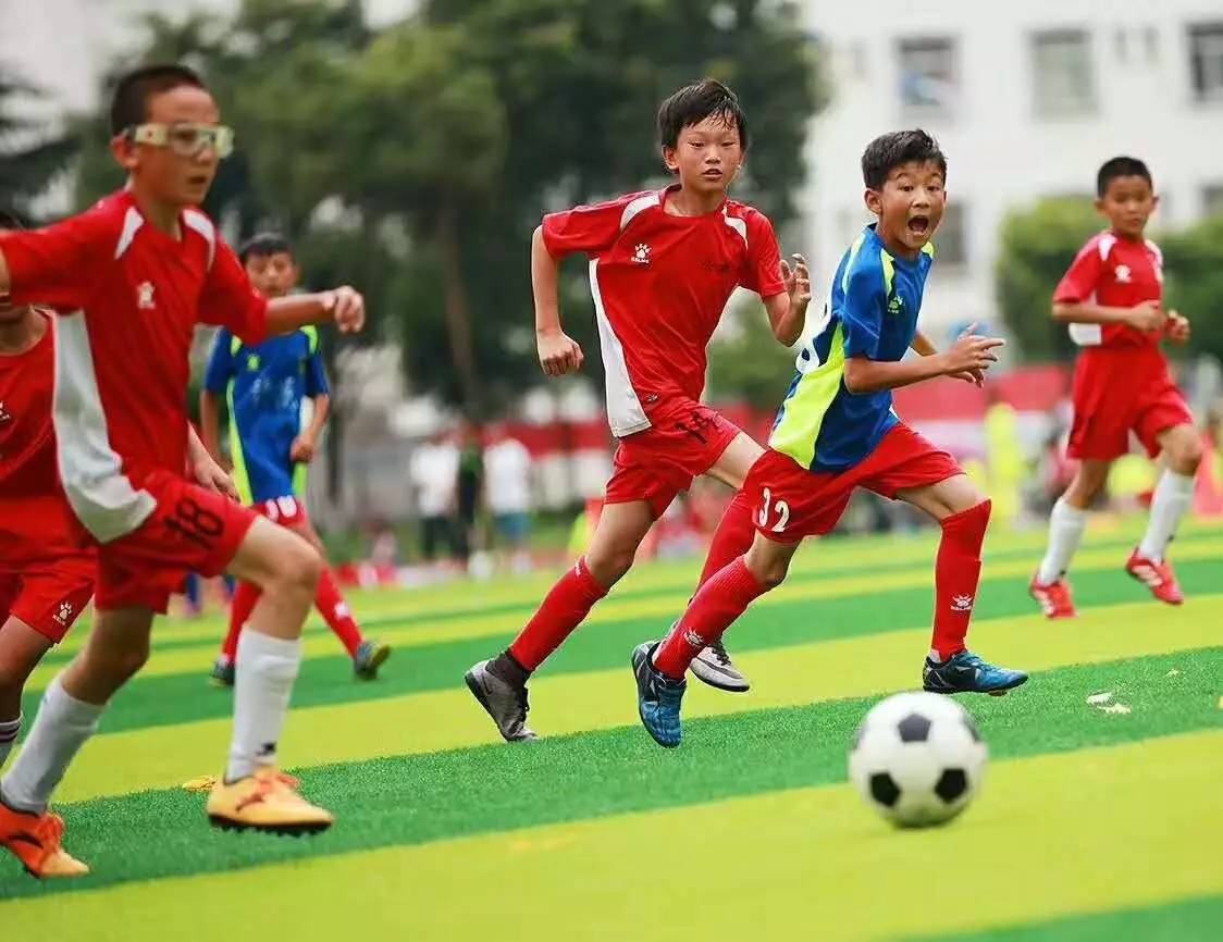 早报：完胜！曼城主场3-0拜仁，哈兰德传射于帕灾难发挥