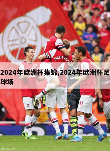 2024年欧洲杯集锦,2024年欧洲杯足球场