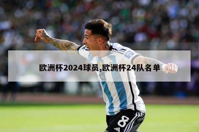 欧洲杯2024球员,欧洲杯24队名单