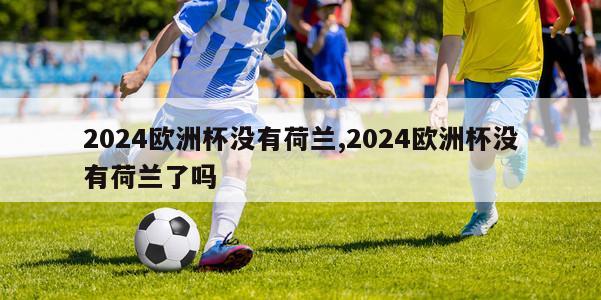 2024欧洲杯没有荷兰,2024欧洲杯没有荷兰了吗